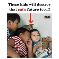 These kids will destroy cats future too